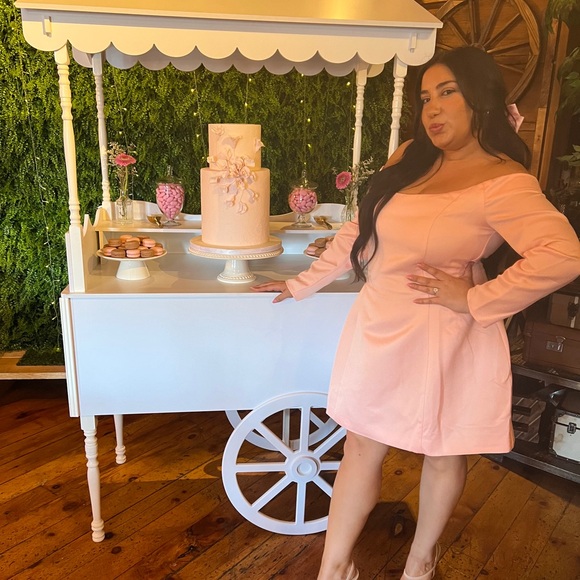 REVOLVE PINK DRESS, ELLIATT VIDA DRESS - Picture 4 of 4